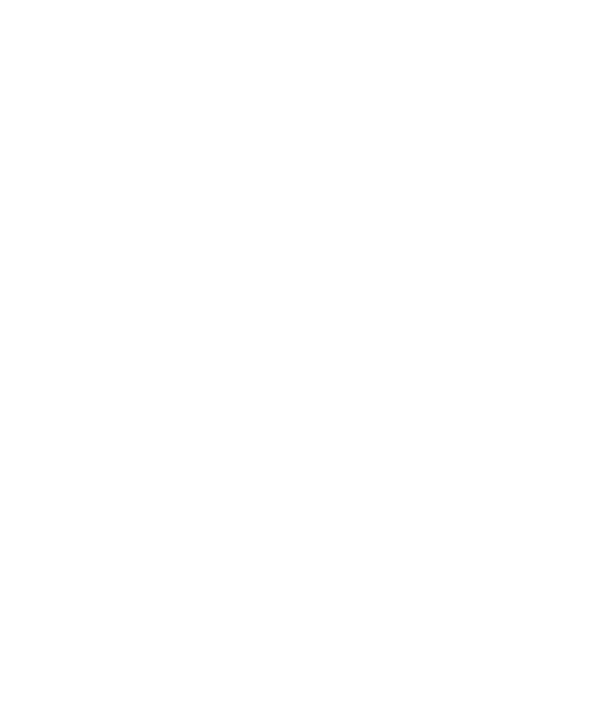 rochini logo slogan weiss Home