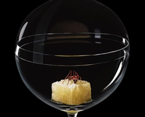 Candy Dish Alex Atala Phaidon sergio coimbra 495x400 Lobmeyr