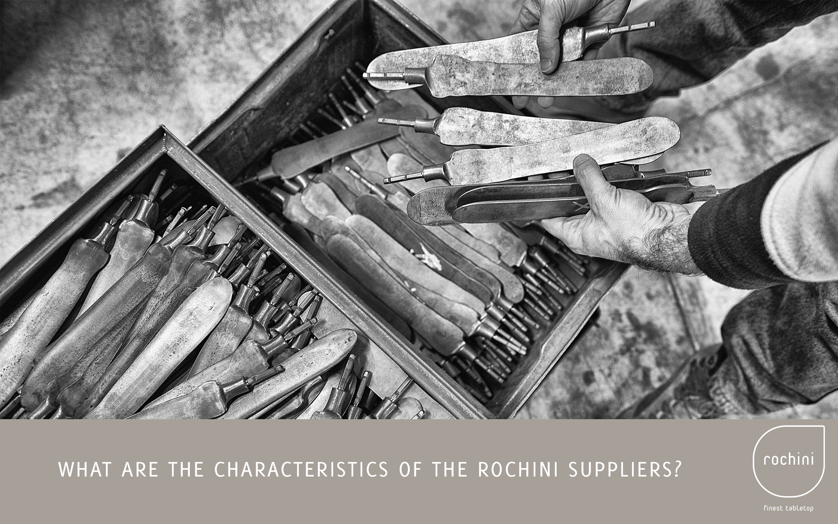 013 The Rochini Concept